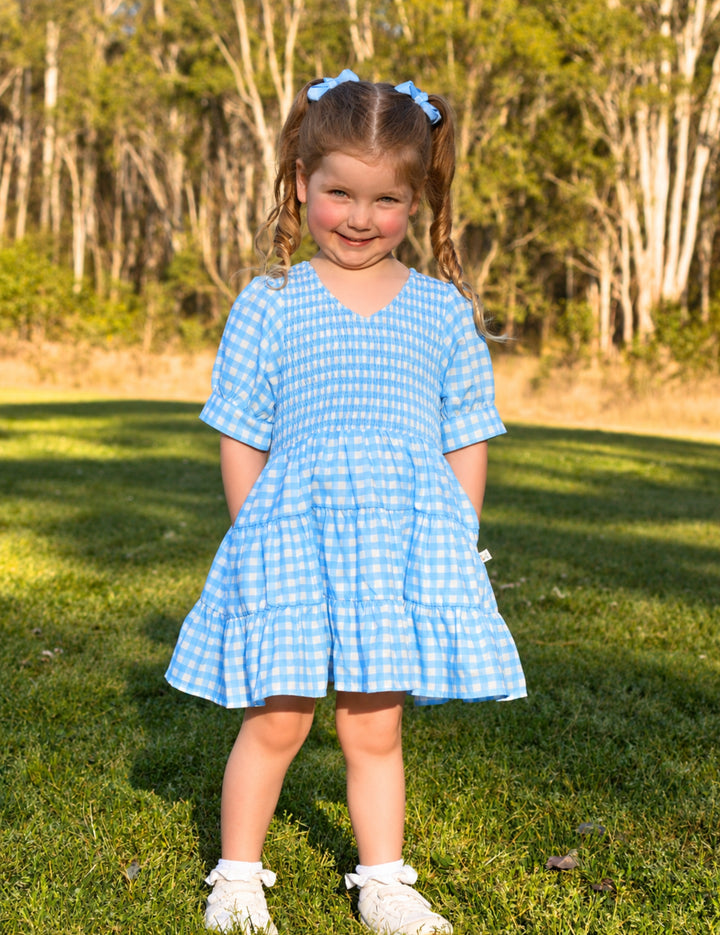 Blueberry Gingham Dress – Mini