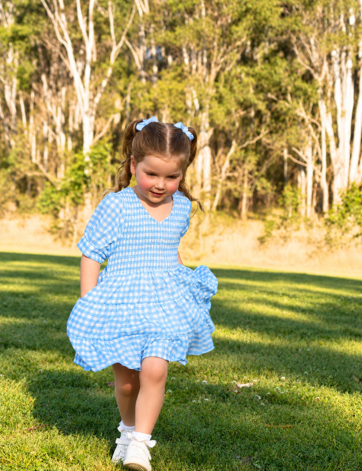 Blueberry Gingham Dress – Mini